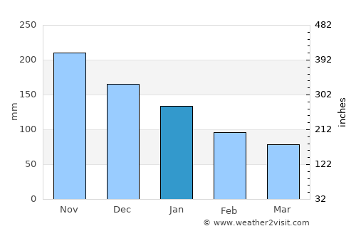 El Negro average rain in January
