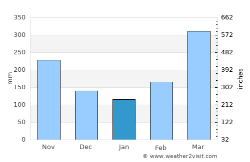 El Paujil average rain in January