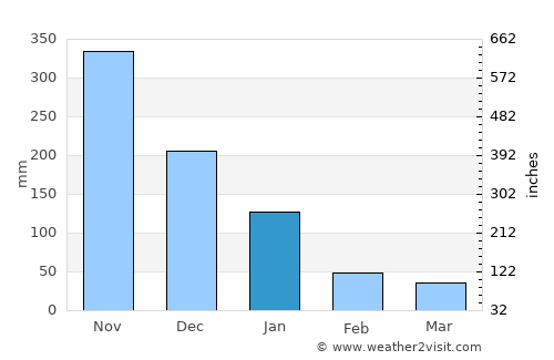 El Porvenir average rain in January