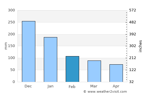El Rancho average rain in February