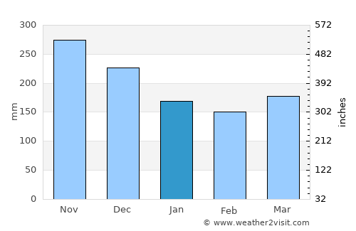 El Rosario average rain in January