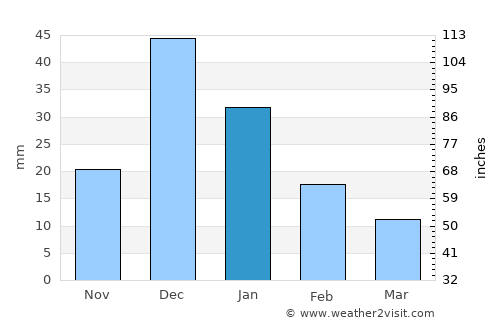 El Salto average rain in January