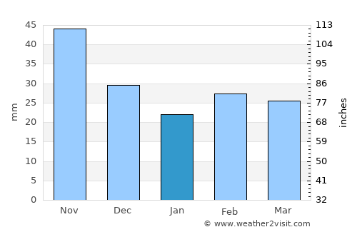 Elche average rain in January