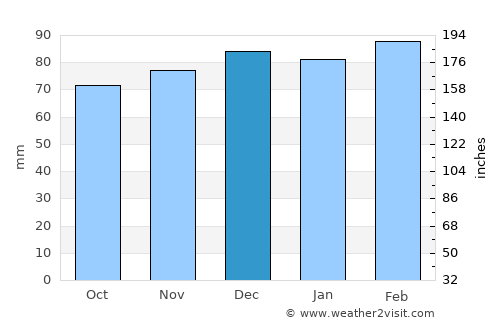 Elizabethton average rain in December