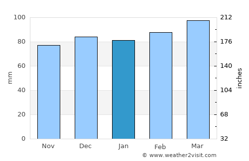 Elizabethton average rain in January