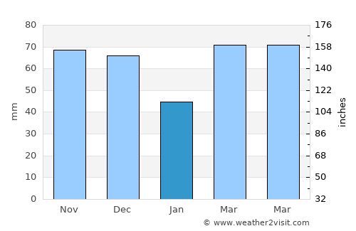 Elk Grove Village average rain in January