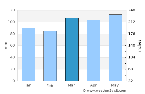 Elkins average rain in March