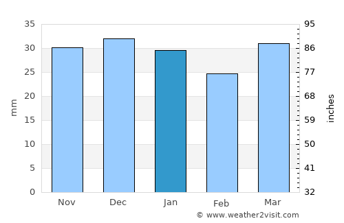 Elko average rain in January