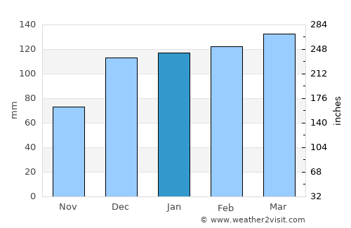 Ellaville average rain in January
