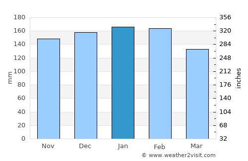 Erechim average rain in January
