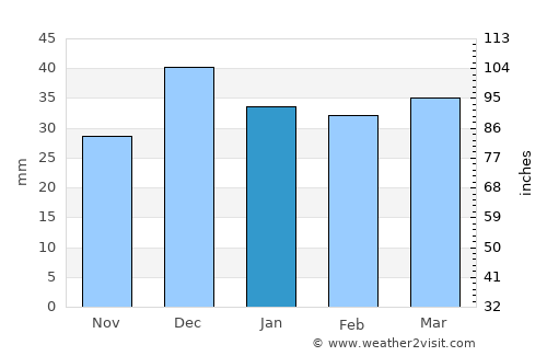 Ereğli average rain in January