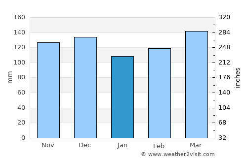 Erin average rain in January