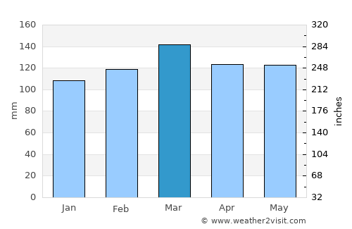 Erin average rain in March