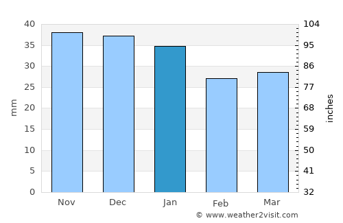 Ernei average rain in January