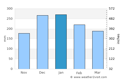 Espírito Santo do Pinhal average rain in January