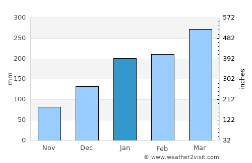 Estreito average rain in January