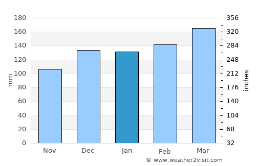 Evergreen average rain in January