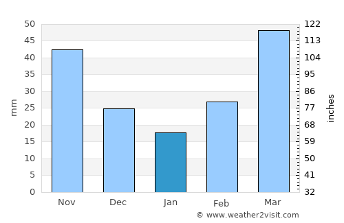 Fairview average rain in January