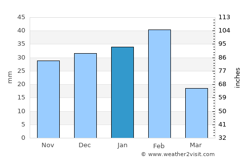 Falfurrias average rain in January