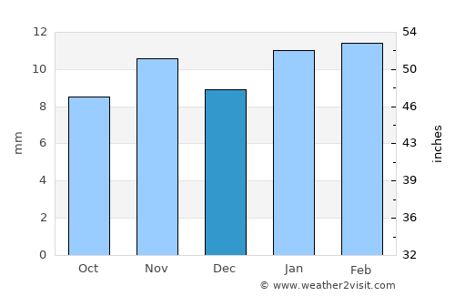 Fallon average rain in December