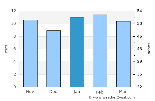 Fallon average rain in January
