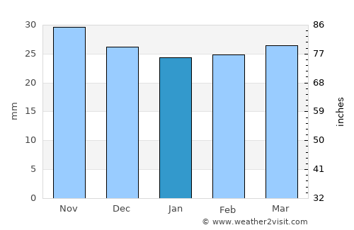 Fălticeni average rain in January