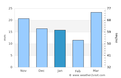Fargo average rain in January