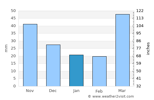 Faribault average rain in January