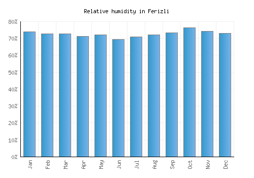 Ferizli relative humidity averages