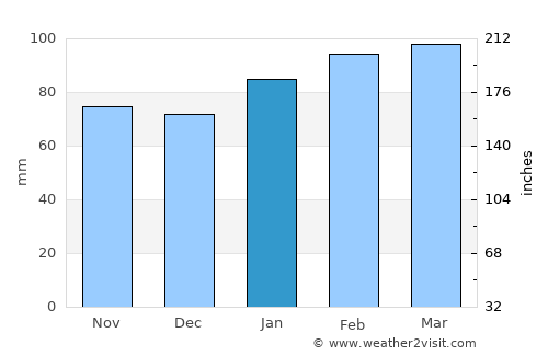 Fernandina Beach average rain in January