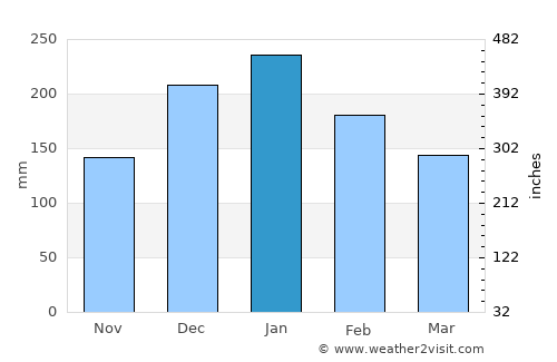 Fernandópolis average rain in January
