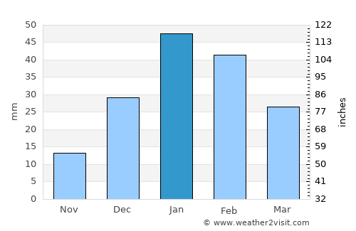 Fiambalá average rain in January