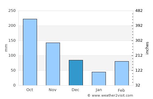 Fish Town average rain in December
