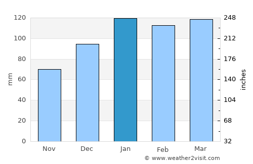 Fitzgerald average rain in January