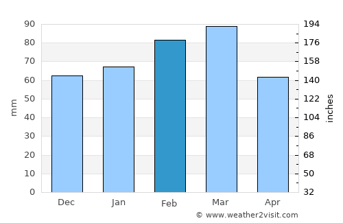 Flagler Beach average rain in February