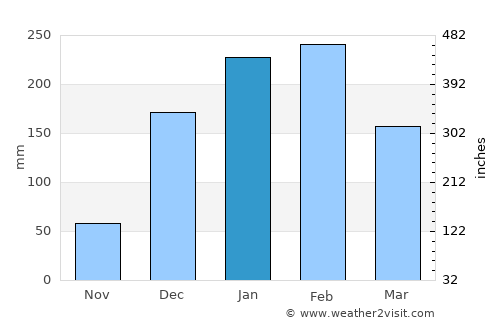 Flic en Flac average rain in January