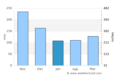 Florencia average rain in January