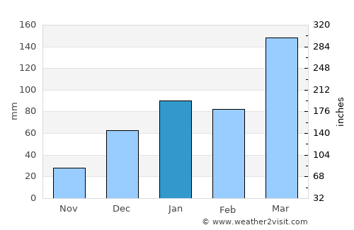 Floresta average rain in January