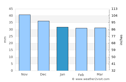 Florica average rain in January
