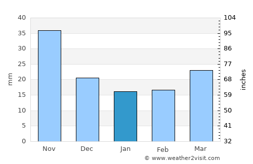 Fokino average rain in January