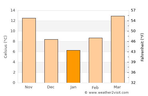 Forest average temperature in January
