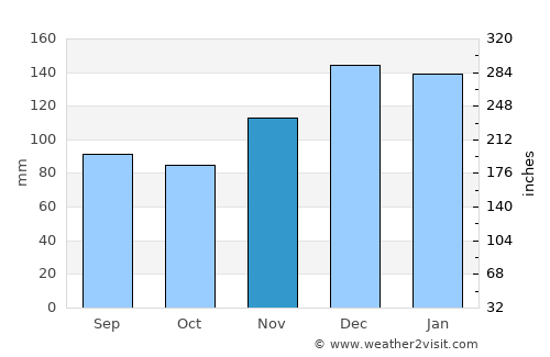 Forest average rain in November