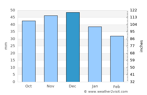 Forst average rain in December