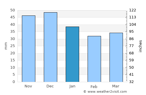 Forst average rain in January