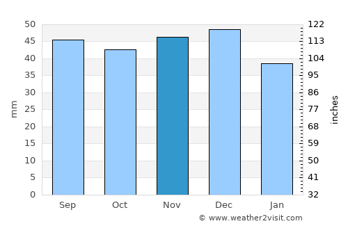 Forst average rain in November