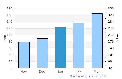 Forster average rain in January