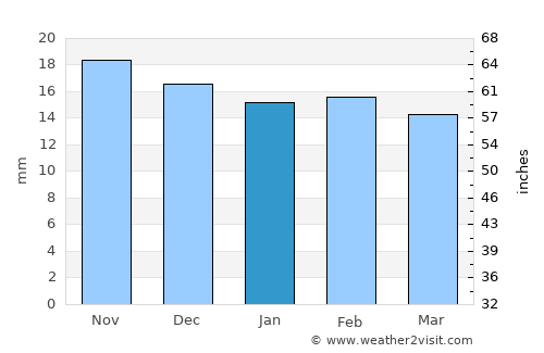 Fort Davis average rain in January