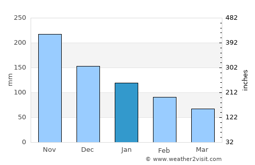 Fort-de-France average rain in January