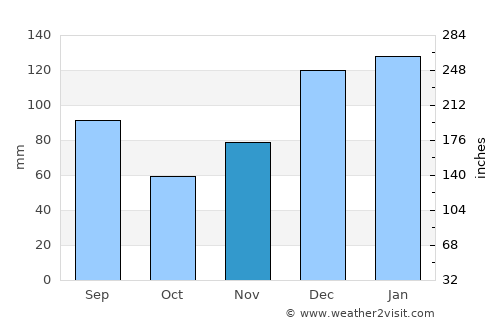 Fort Gaines average rain in November