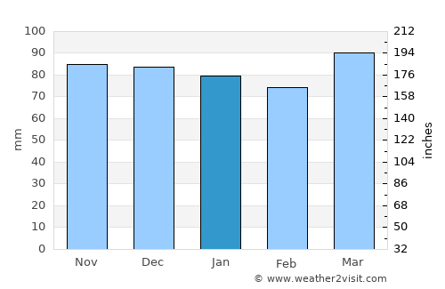Fredericksburg average rain in January